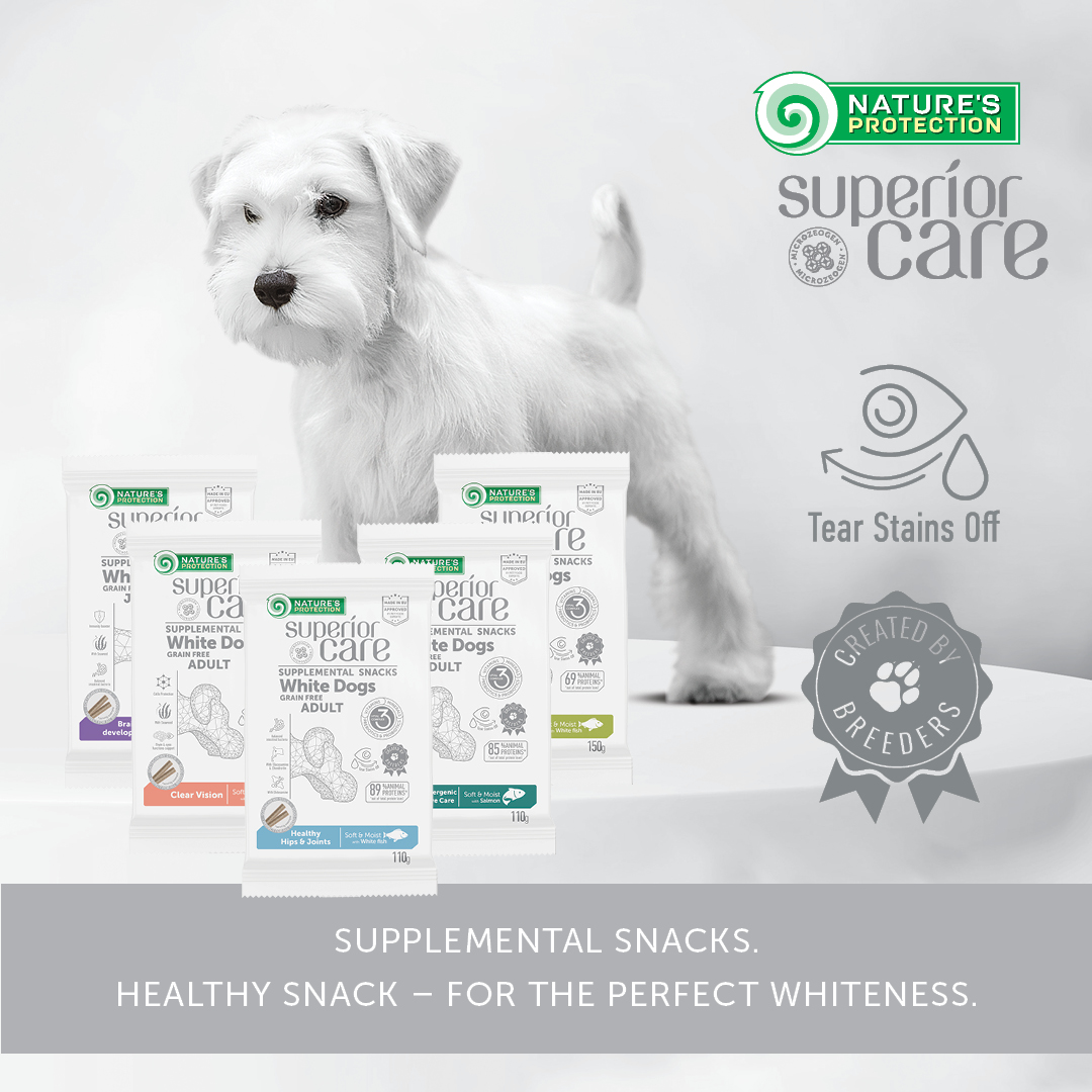 NATURES PROTECTION Superior Care White Dogs Junior Brain Development Salmon 110 g - Bild 3