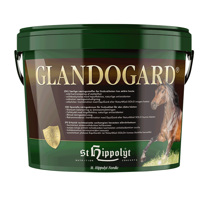 St Hippolyt Glandogard – 3,75kg - Bild 2