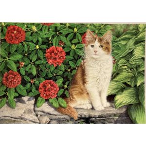 Kort- katt och rhododendron
