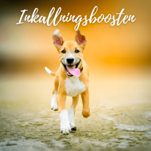 Inkallningsboosten
