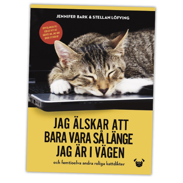 Jag älskar att bara vara så länge jag är i vägen - Bild 2