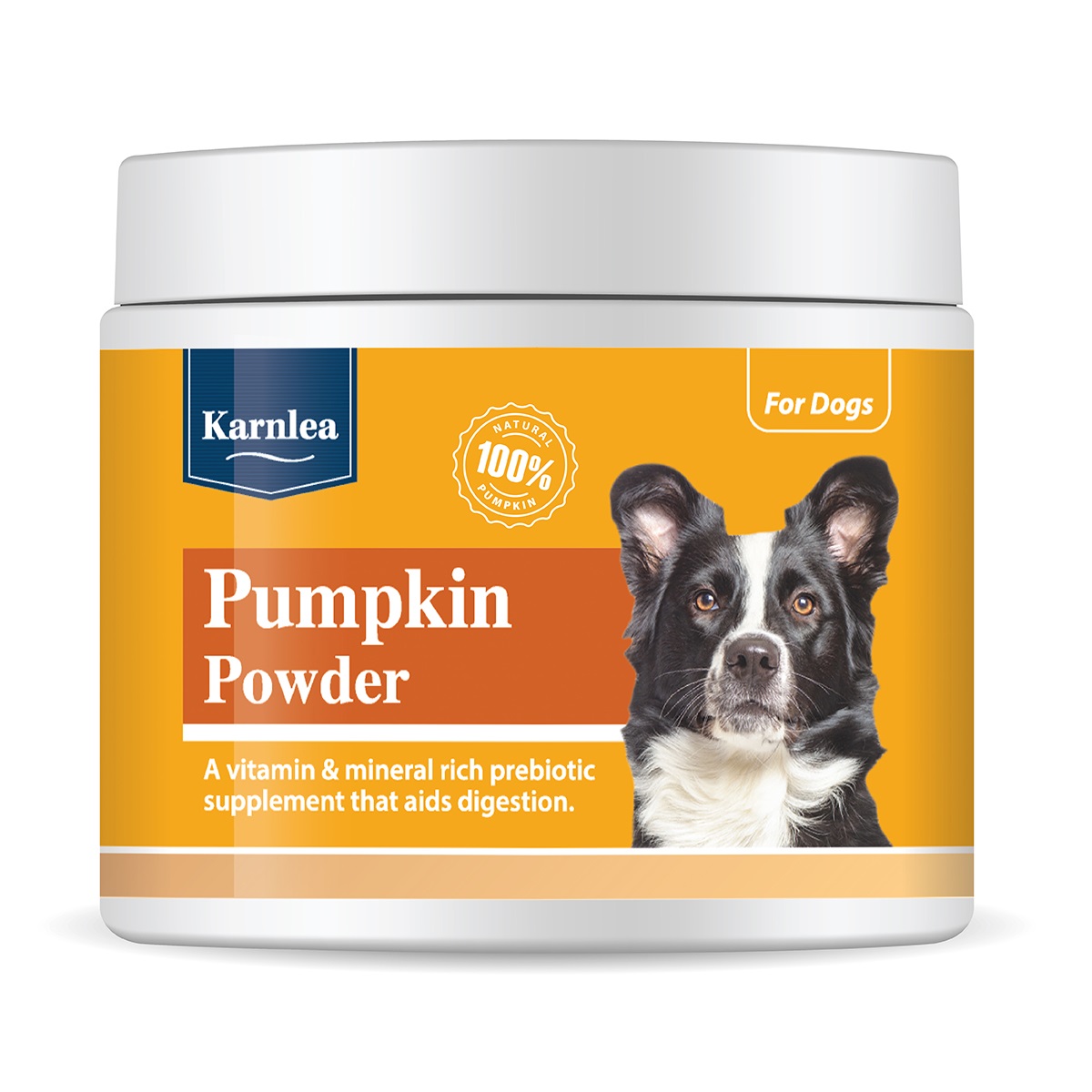 KARNLEA Pumpkin Powder 200g - Bild 2