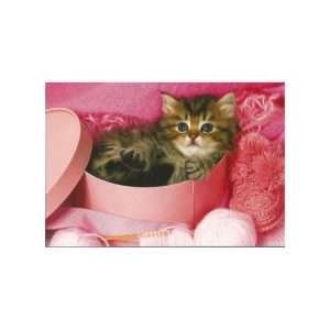 Kort- Kattunge i rosa ask