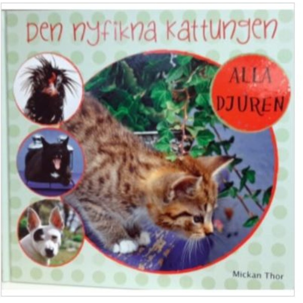 Den nyfikna kattungen - Bild 2