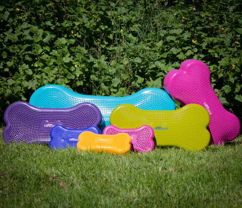 Fitbone giant - Bild 4
