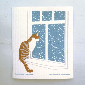 Disktrasa, Katten sitter i fönstret och tittar på snön