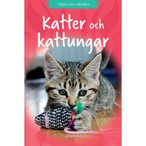 Katter och kattungar