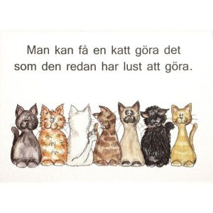 Kort (val)