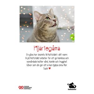 Hjärtegåva